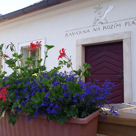 Cafe Kozi Placek Kutná Hora Zewnętrze zdjęcie